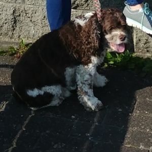 Meet your Posher, Debbie